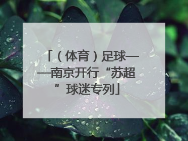 （体育）足球——南京开行“苏超”球迷专列