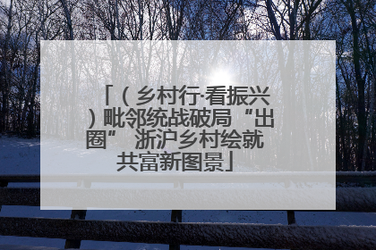 （乡村行·看振兴）毗邻统战破局“出圈” 浙沪乡村绘就共富新图景