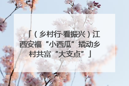（乡村行·看振兴）江西安福“小西瓜”撬动乡村共富“大支点”
