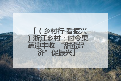 （乡村行·看振兴）浙江乡村：时令果蔬迎丰收 “甜蜜经济”促振兴