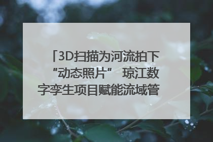 3D扫描为河流拍下“动态照片” 琼江数字孪生项目赋能流域管理｜新闻发布最前线