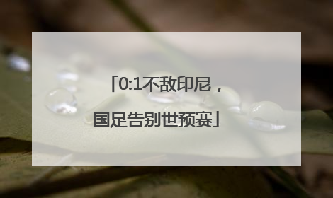 0:1不敌印尼，国足告别世预赛