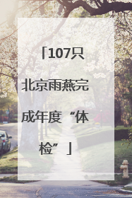 107只北京雨燕完成年度“体检”