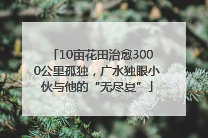 10亩花田治愈3000公里孤独，广水独眼小伙与他的“无尽夏”