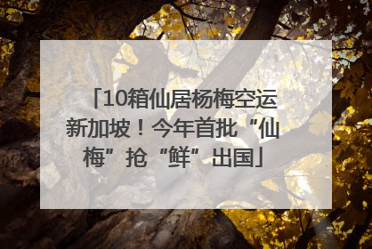 10箱仙居杨梅空运新加坡！今年首批“仙梅”抢“鲜”出国