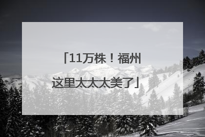 11万株！福州这里太太太美了