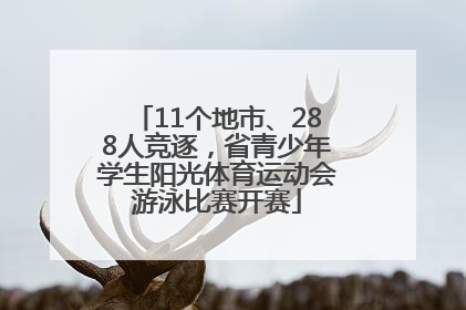 11个地市、288人竞逐，省青少年学生阳光体育运动会游泳比赛开赛
