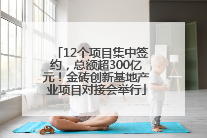 12个项目集中签约，总额超300亿元！金砖创新基地产业项目对接会举行