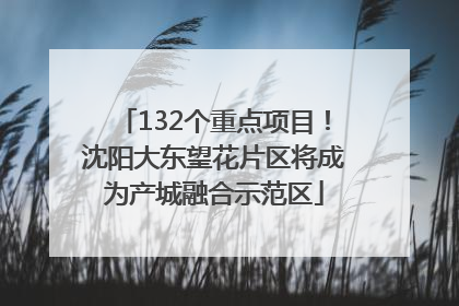 132个重点项目！沈阳大东望花片区将成为产城融合示范区