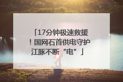 17分钟极速救援！国网石首供电守护江豚不断“电”