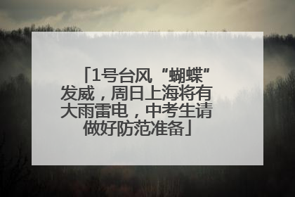 1号台风“蝴蝶”发威，周日上海将有大雨雷电，中考生请做好防范准备
