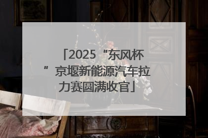 2025“东风杯”京堰新能源汽车拉力赛圆满收官
