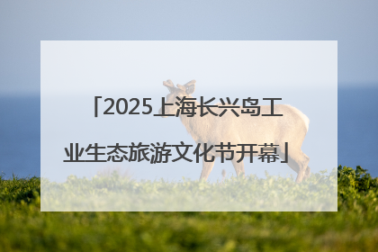 2025上海长兴岛工业生态旅游文化节开幕