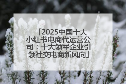 2025中国十大小红书电商代运营公司：十大领军企业引领社交电商新风向