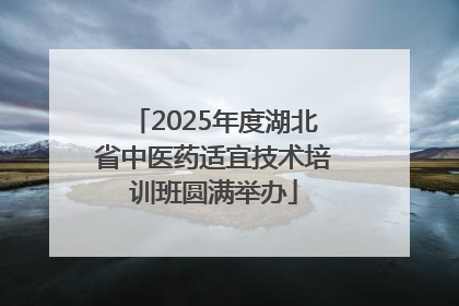 2025年度湖北省中医药适宜技术培训班圆满举办