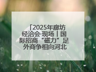 2025年廊坊经洽会·现场丨国际招商“磁力”足 外商争相向河北推介项目