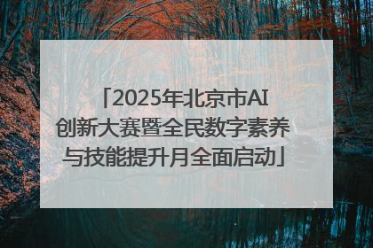 2025年北京市AI创新大赛暨全民数字素养与技能提升月全面启动