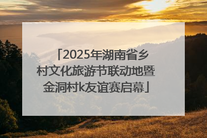2025年湖南省乡村文化旅游节联动地暨金洞村k友谊赛启幕