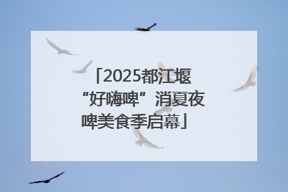 2025都江堰“好嗨啤”消夏夜啤美食季启幕