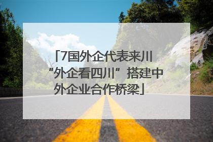 7国外企代表来川 “外企看四川”搭建中外企业合作桥梁