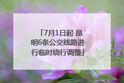 7月1日起 昆明6条公交线路进行临时绕行调整