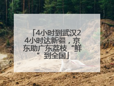 4小时到武汉24小时达新疆，京东助广东荔枝“鲜”到全国