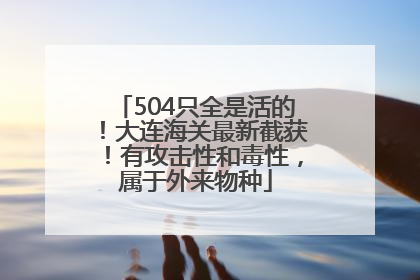 504只全是活的！大连海关最新截获！有攻击性和毒性，属于外来物种