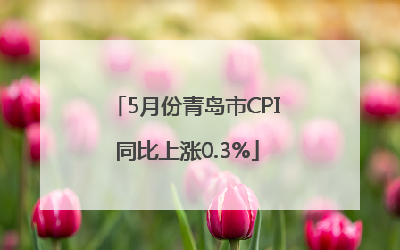 5月份青岛市CPI同比上涨0.3%