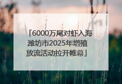6000万尾对虾入海 潍坊市2025年增殖放流活动拉开帷幕