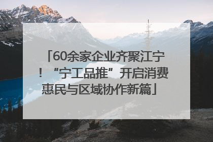 60余家企业齐聚江宁！“宁工品推”开启消费惠民与区域协作新篇