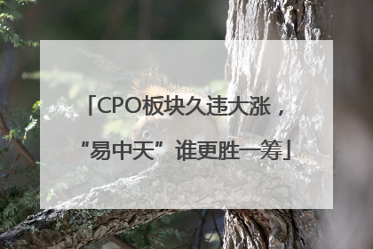 CPO板块久违大涨，“易中天”谁更胜一筹