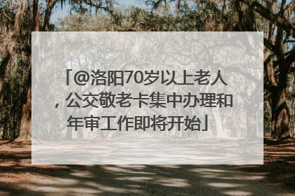 @洛阳70岁以上老人，公交敬老卡集中办理和年审工作即将开始